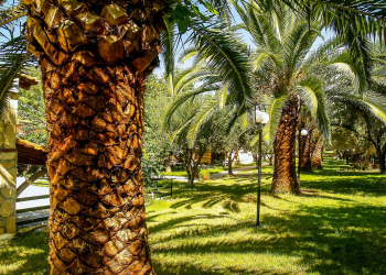 06.the Garden Villagemare Hotel
